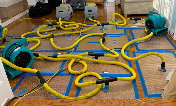 Professional Structural Drying And Dehumidification technician working in Springtown, PA